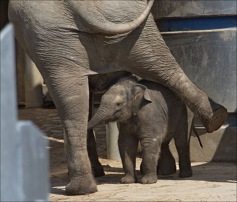 Что бы это значило? фото превью