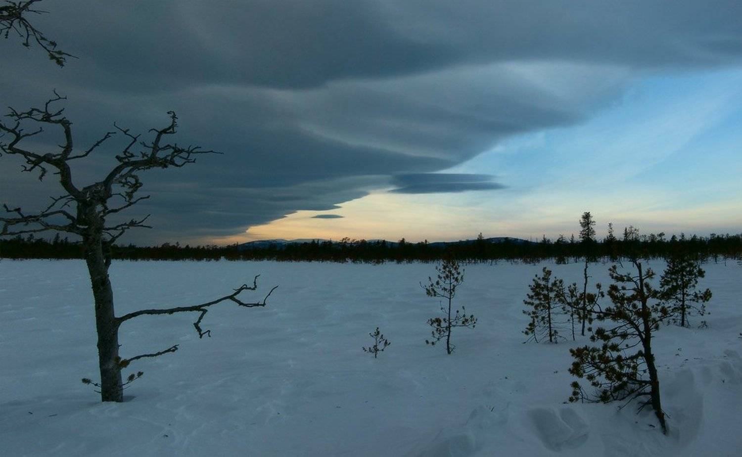 северный урал, хмао, ялпингнер, Alexander Gil