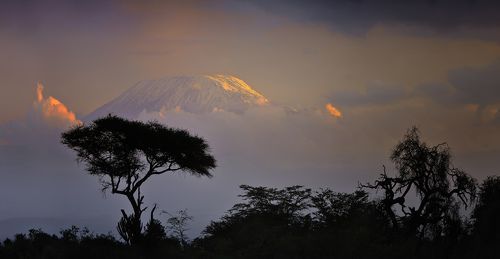 Хозяйка Африки