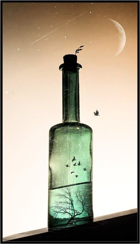 ночь,бутылка,бутылки,птица,птицы,луна,звёзды,падающие звёзды,натюрморт,владимир,шипулин Ночь в бутылке... фото превью