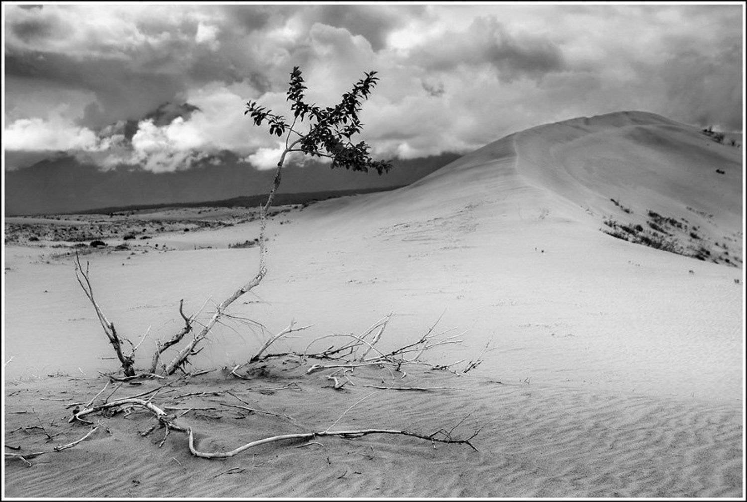 сев.забайкалье, кодар, чарские пески, Dmitriy Egorov