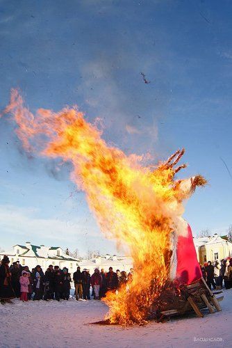 Жгут