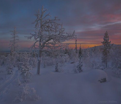 Лапландия 4