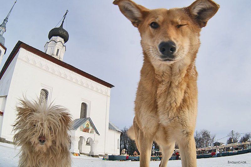 ;-) фото превью