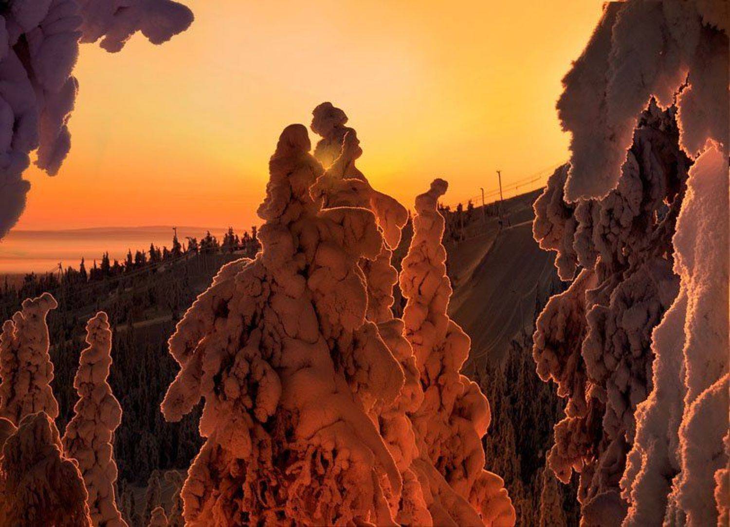 финляндия, зима, снег, деревья, любовь, Татьяна Гориловская