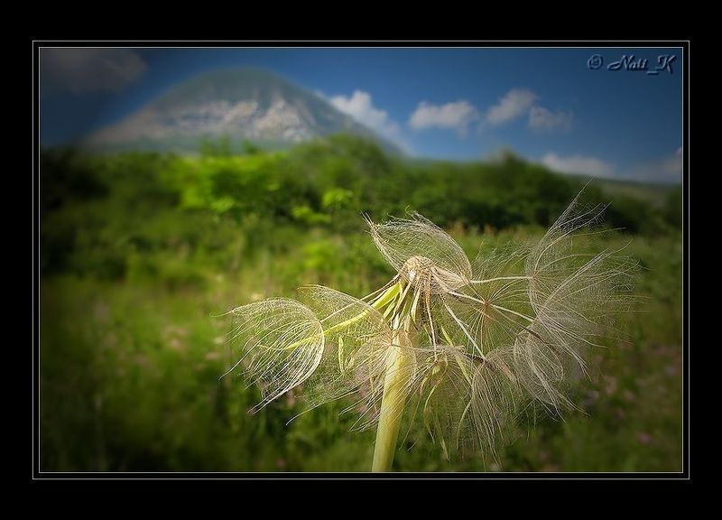 Лето в горах 2 фото превью