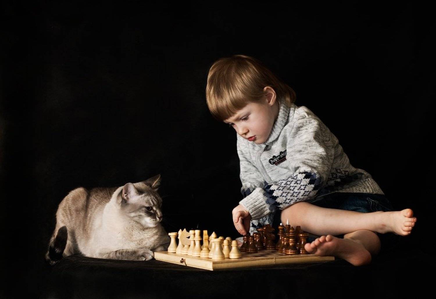 , Дмитрий Милосердов