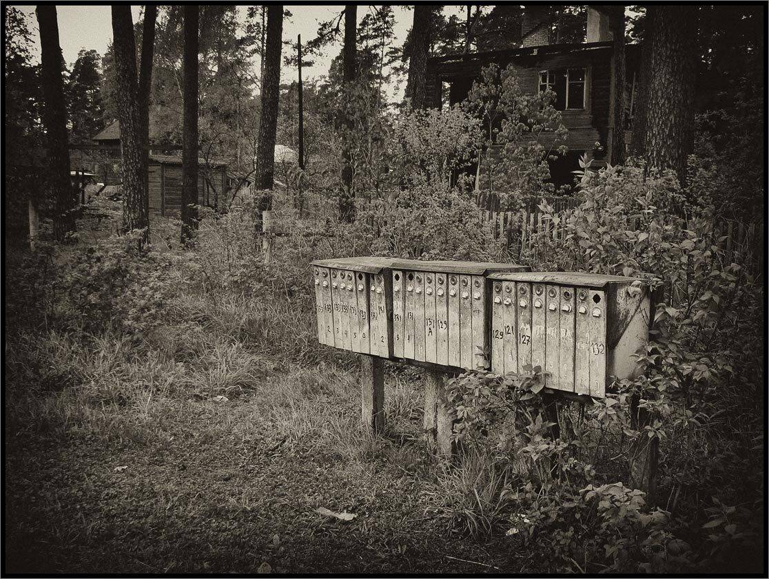 , Лунный Ежик