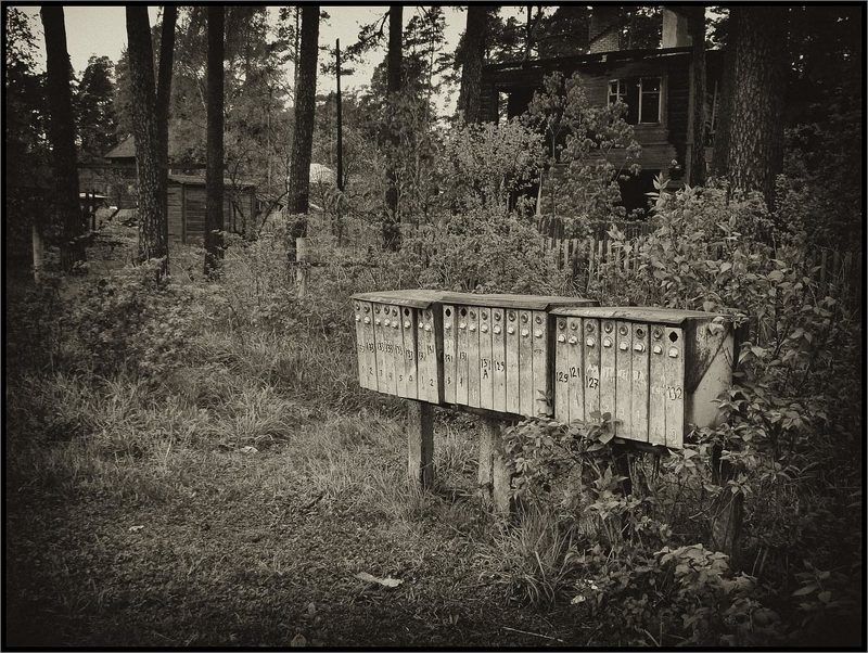 Сюда давно не ходит почтальон фото превью