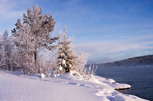 Февральским ясным днем на Ниве...