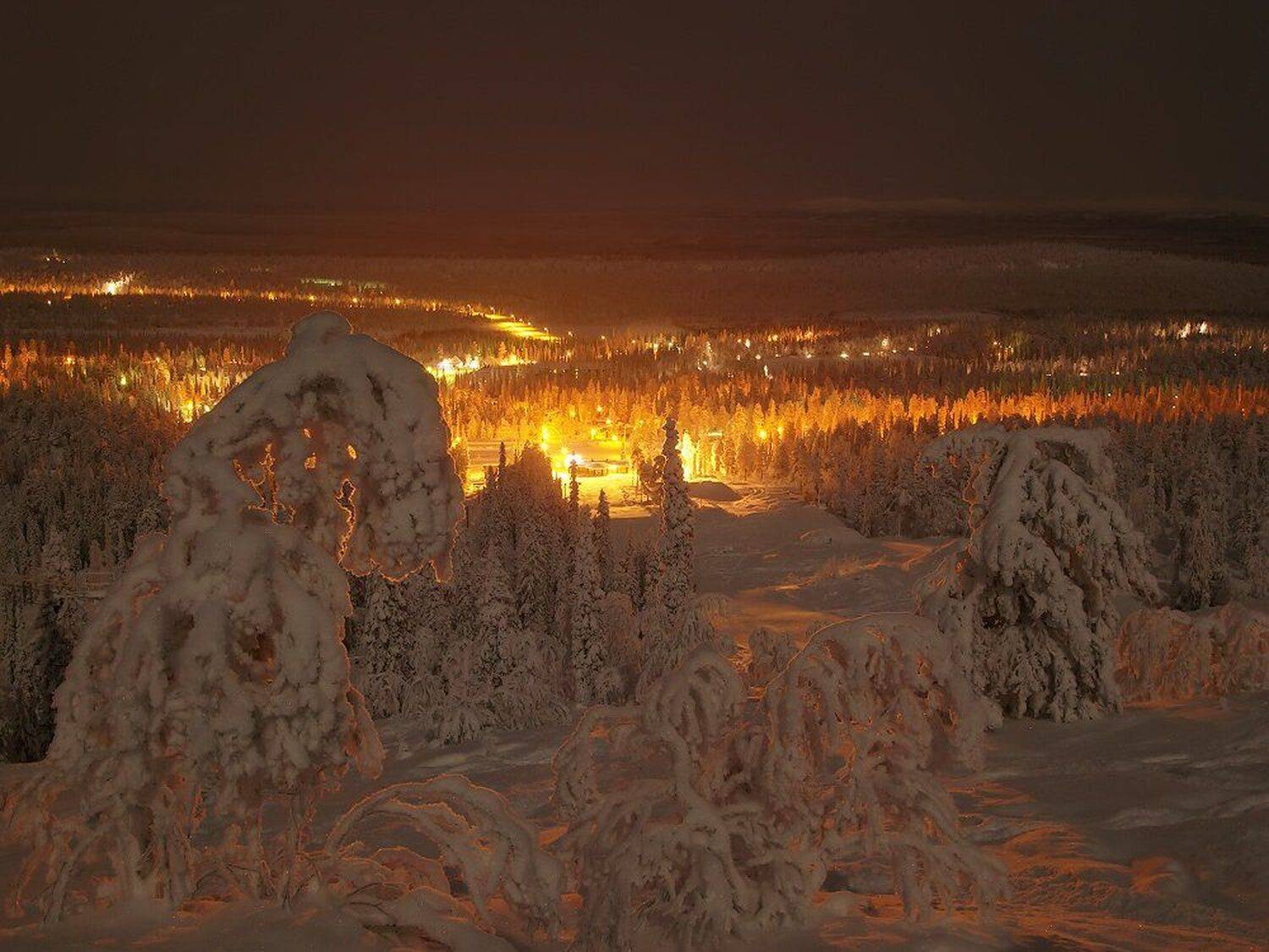 , Максим Евдокимов