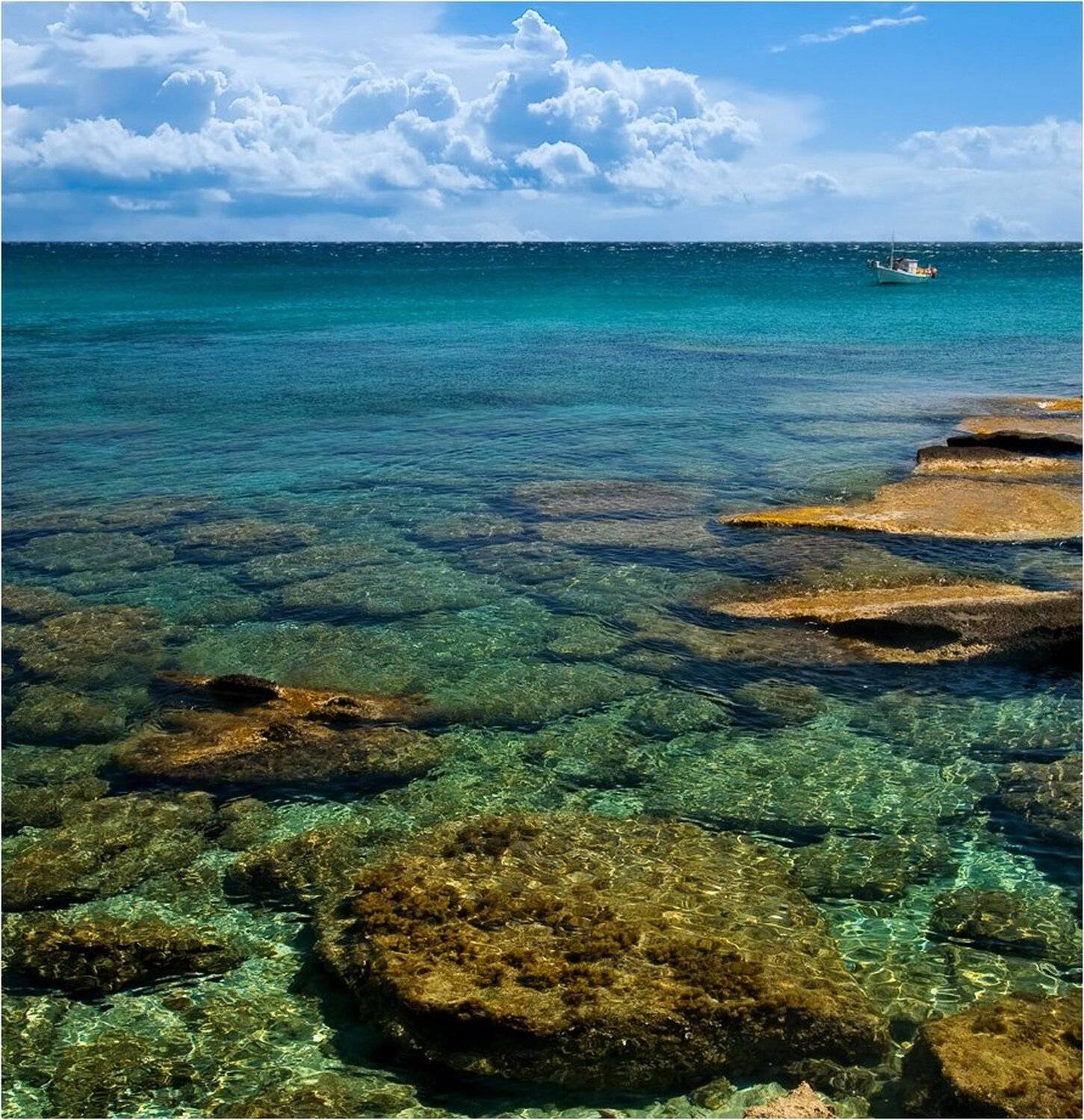 , Александр Беляев