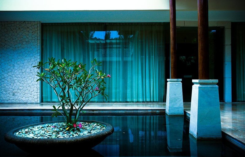 Alone фото превью