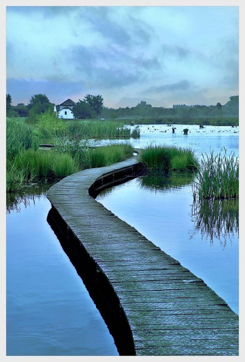 сумерки, озеро, домик, камыш, настил,, arte