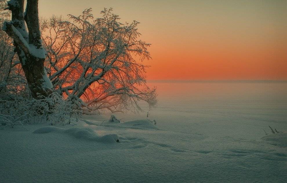 , Владимир Липецких