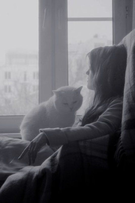 Сумерки фото превью