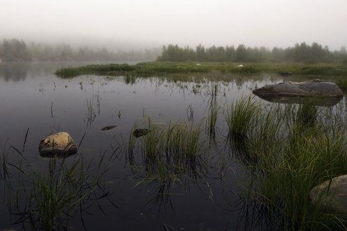 Утро туманное... р.Нива