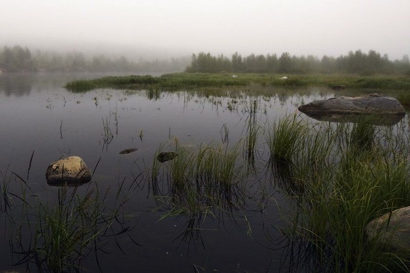 пейзаж,лето,север,река Утро туманное... р.Нива фото превью