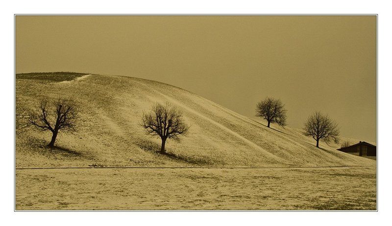 Дорога фото превью