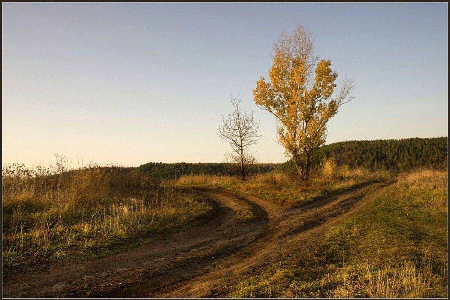 , Александр Киселев