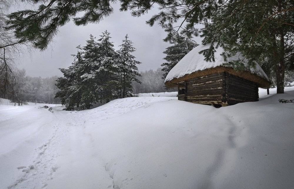 зима,пирогово, Михаил Мочалов