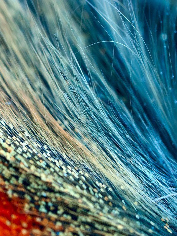 * фото превью