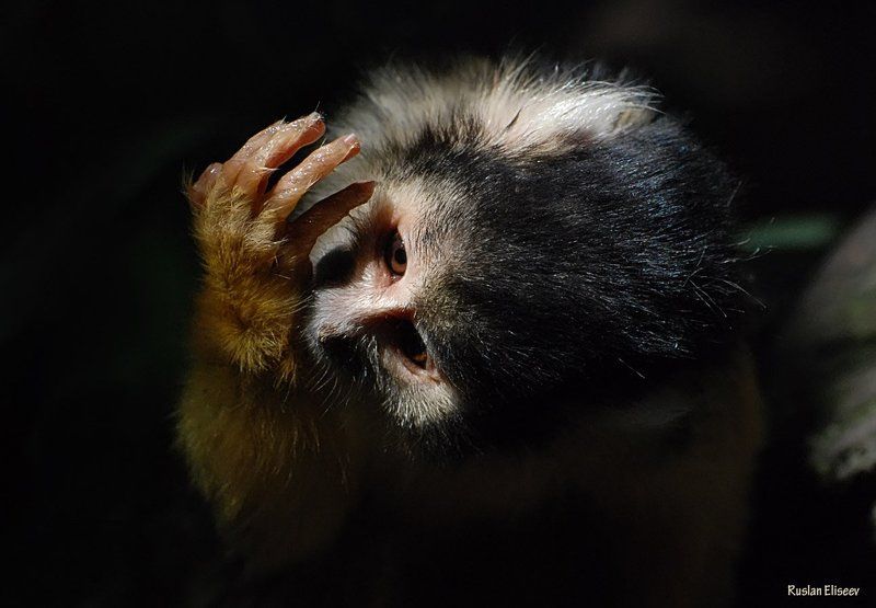 Умывайтесь дети, по утрам! фото превью