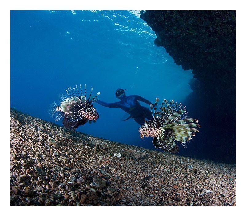 , Нарчук Андрей