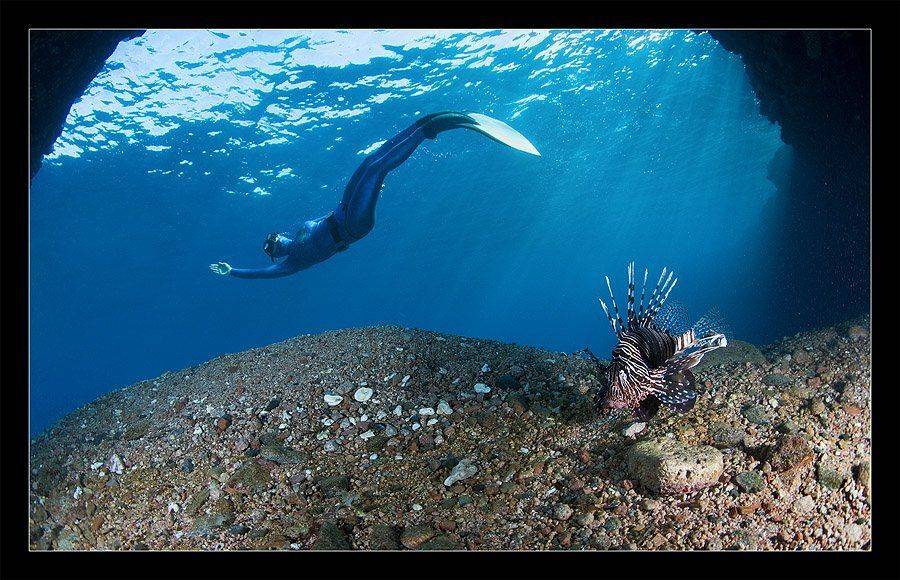 , Нарчук Андрей