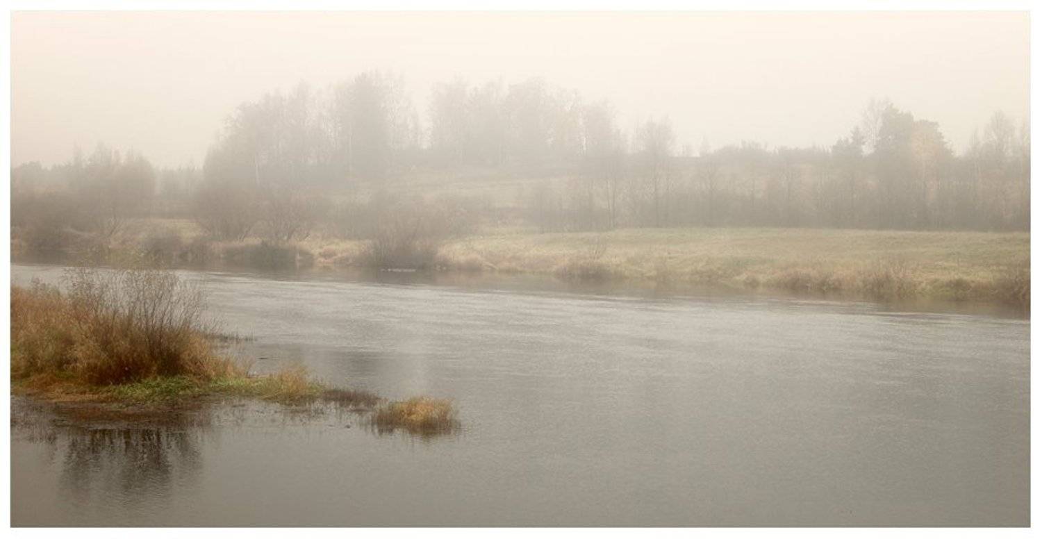 река, молога, природа, русская, октябрь, осень, Валентин