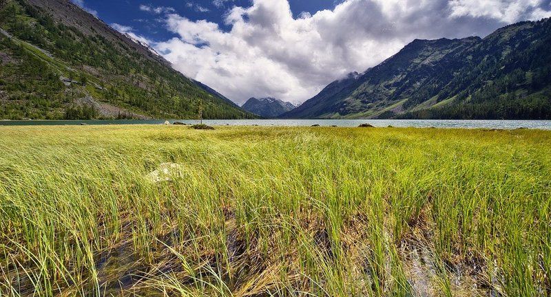 алтай, ср. мультинское озеро **** фото превью