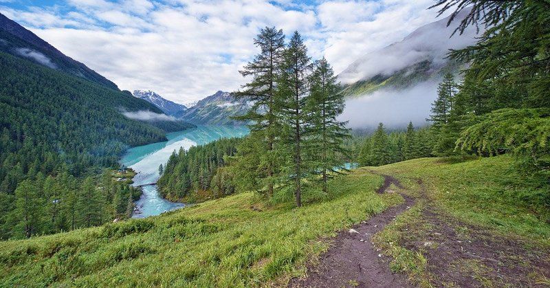 алтай, кучерлинское озеро *** фото превью