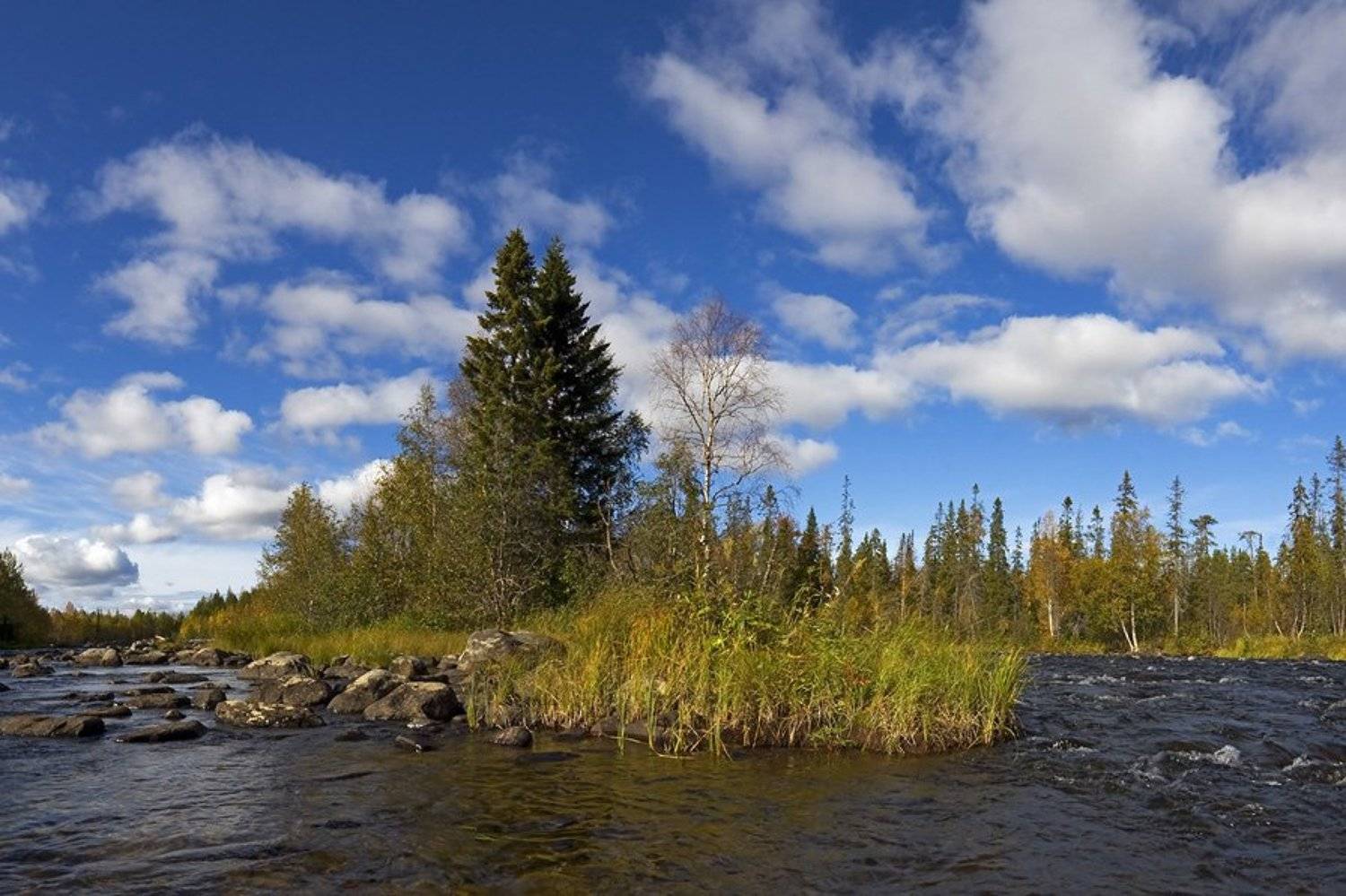 пейзаж,осень,север,река, Алексей Сафаров