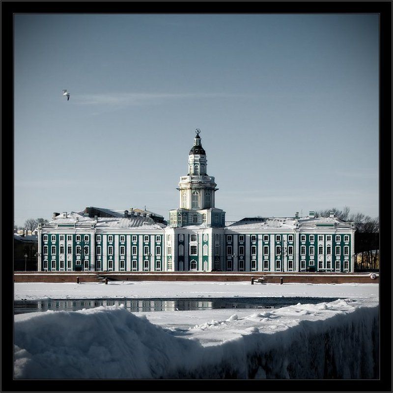 петербург, центр, кунсткамера, нева, зима, чайка Зимняя питерская открытка с чайкой фото превью