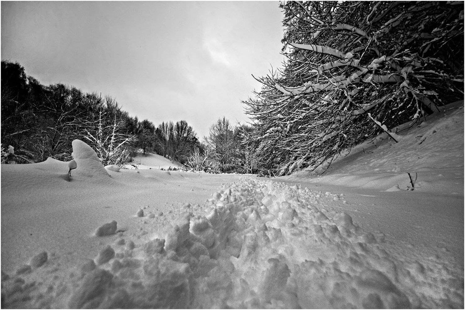 , Игорь Шевченко