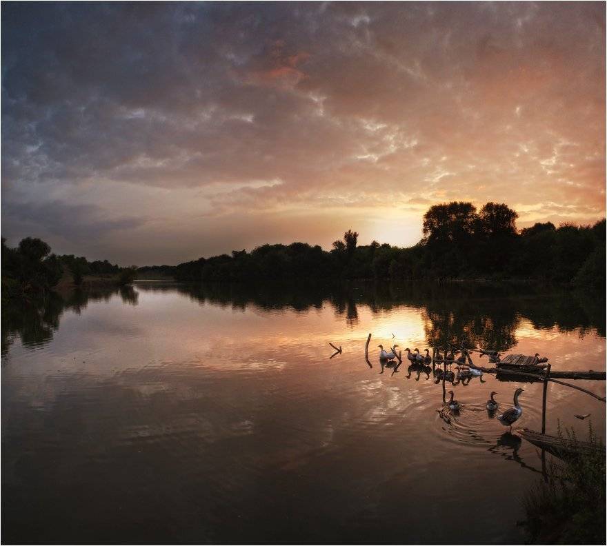 , Яна  Гайворонская