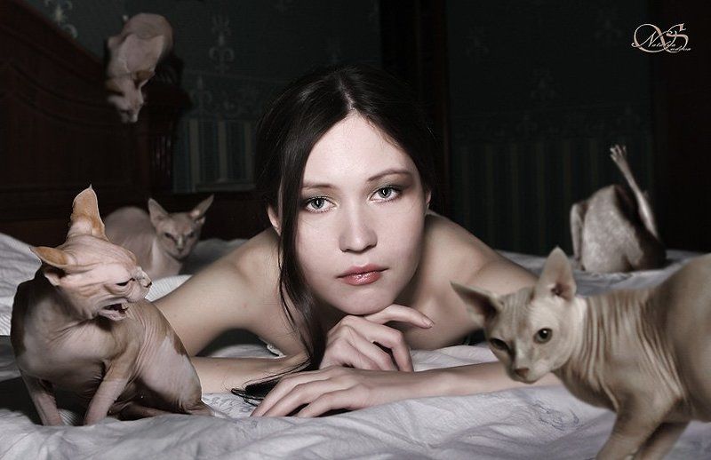 Женщина произошла от кошки фото превью