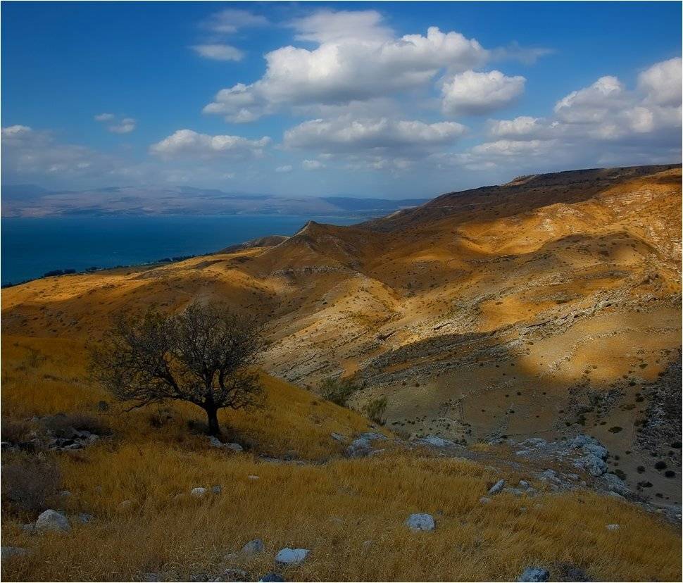 , Александр Беляев