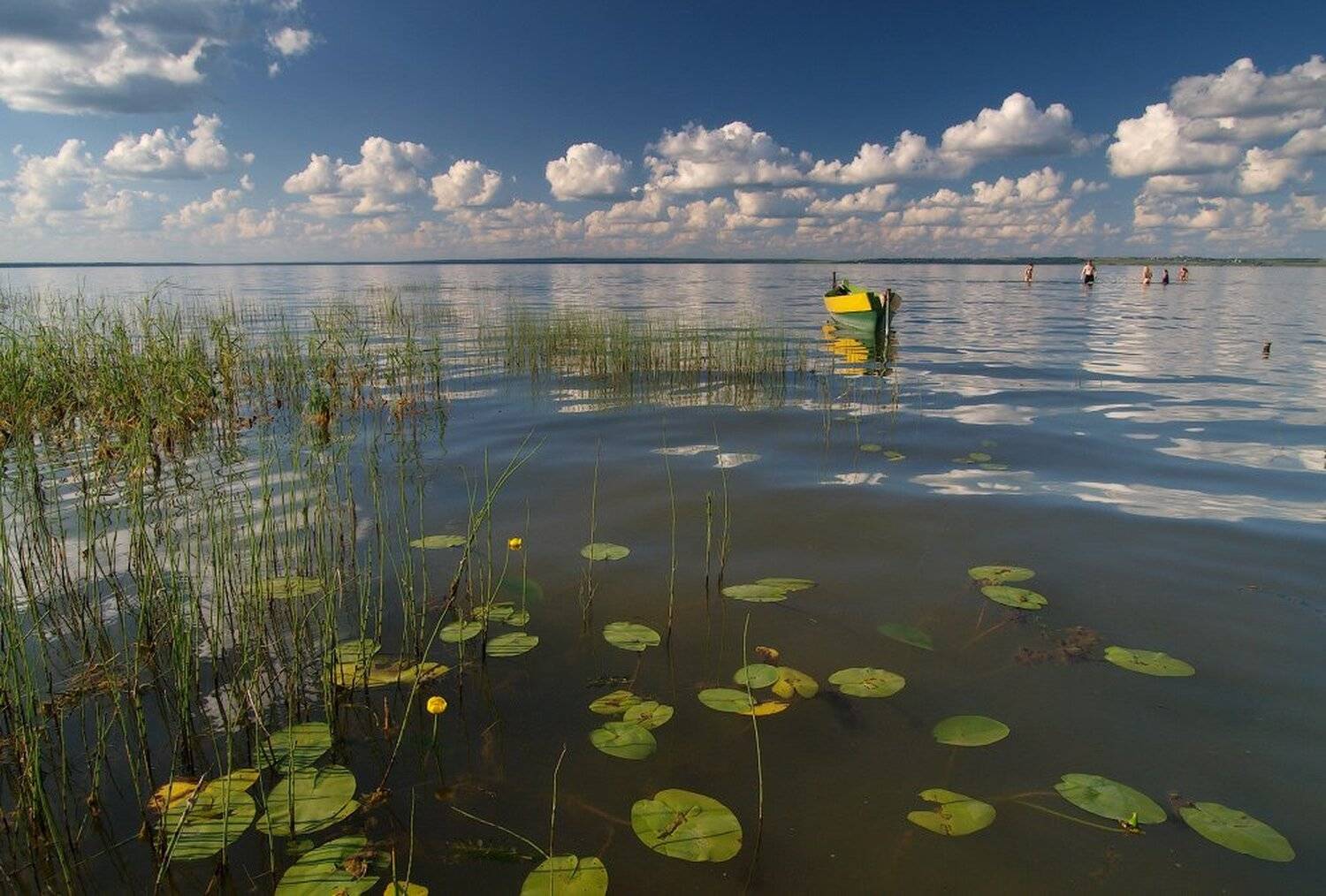 , Максим Евдокимов