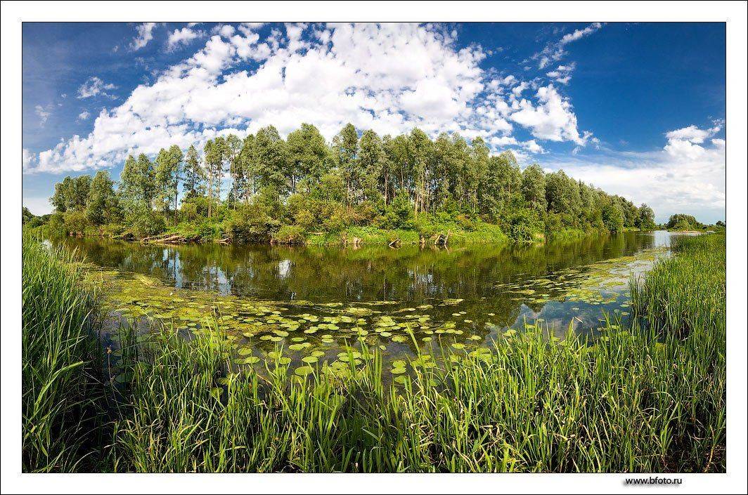 река. лето, июль, жара, Алексей Строганов