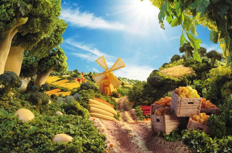 мельница фото превью