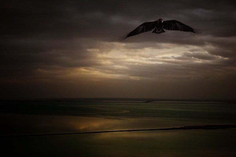 утро  фото превью