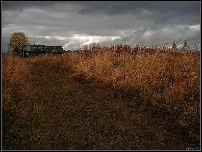 выше плечь фото превью