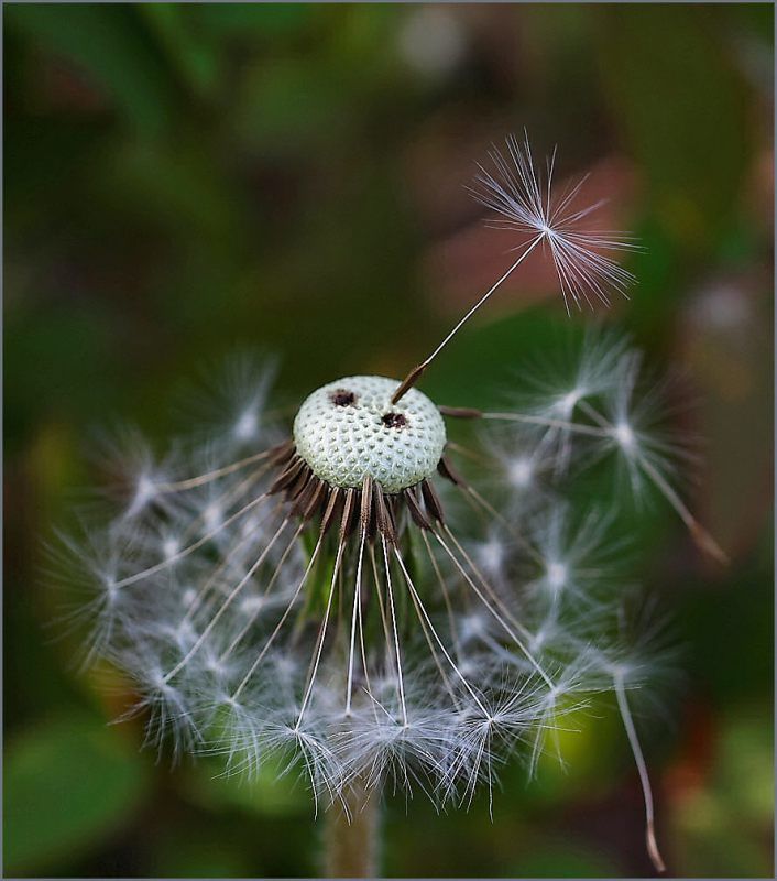 Одинокий фото превью