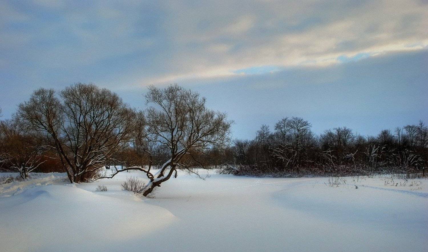 , Евгений Поздняков