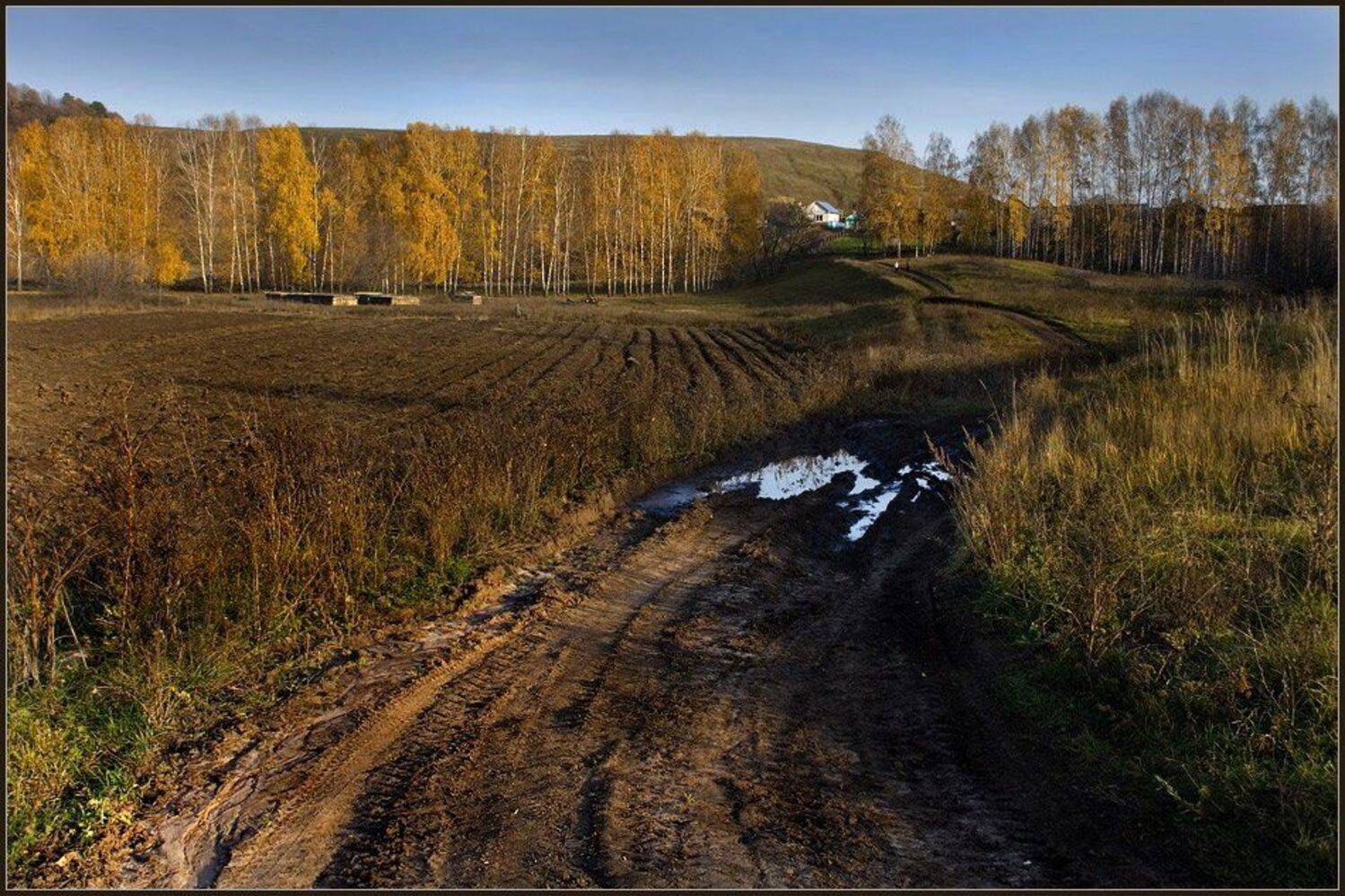 , Александр Киселев