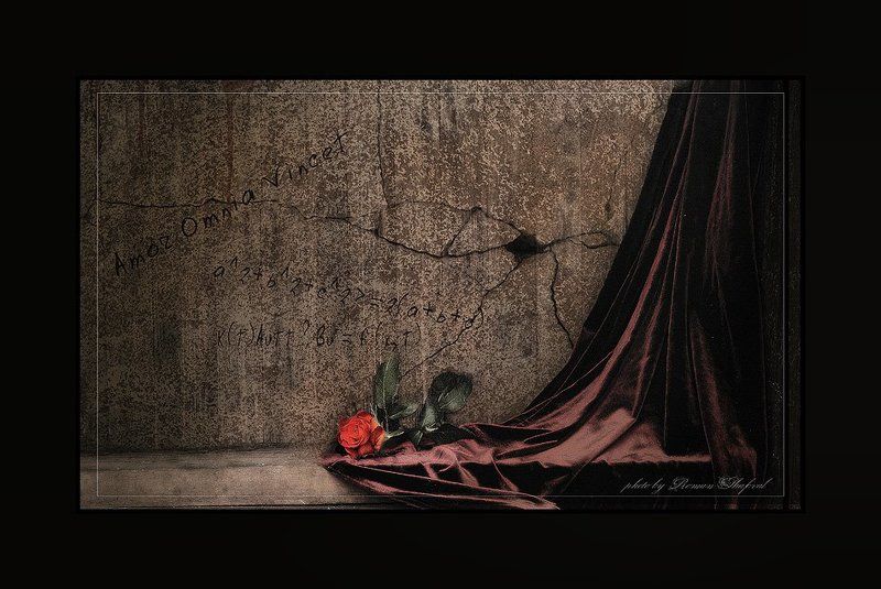 Amor omnia vincet.... фото превью