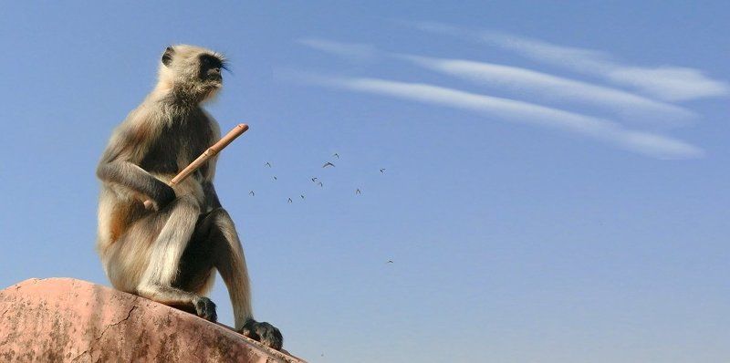 На вершине власти фото превью