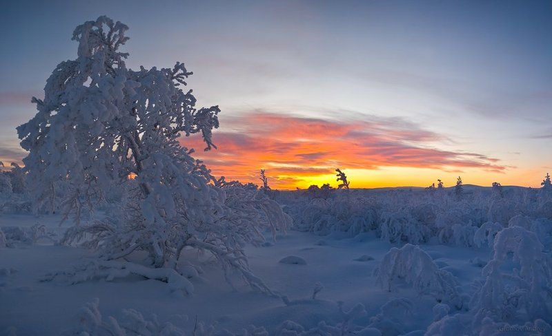 лапландский биосферный заповедник, лыжи, хребет медвежья тундра, кустинг почти закончен Лапландия 5 фото превью