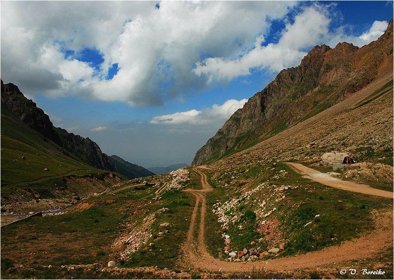 Жёлтая лента фото превью